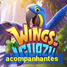 acompanhantes chamada de video